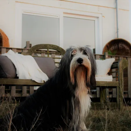 מלון דירות Boulevard 5 4*