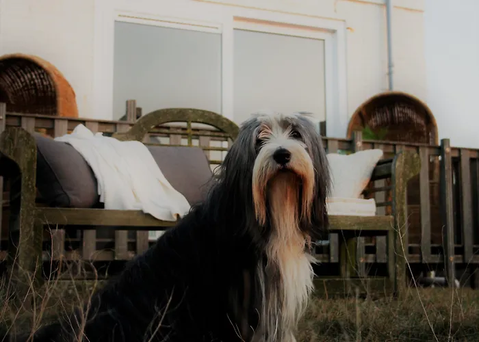 Appart hôtel Boulevard 5 4*